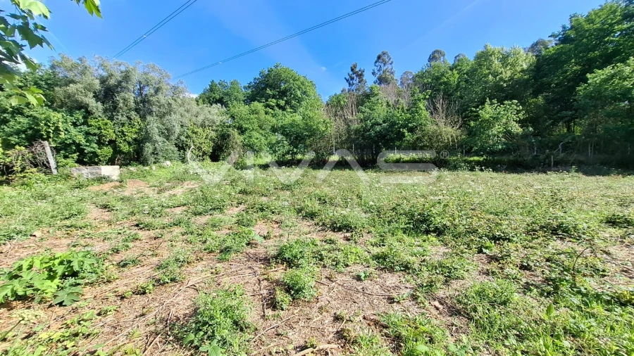 Terreno Agricola ou Rústico para Venda em Dornelas Foto 23