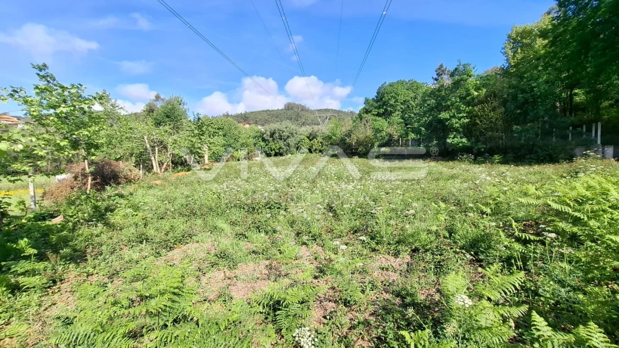 Terreno Agricola ou Rústico para Venda em Dornelas Foto 13