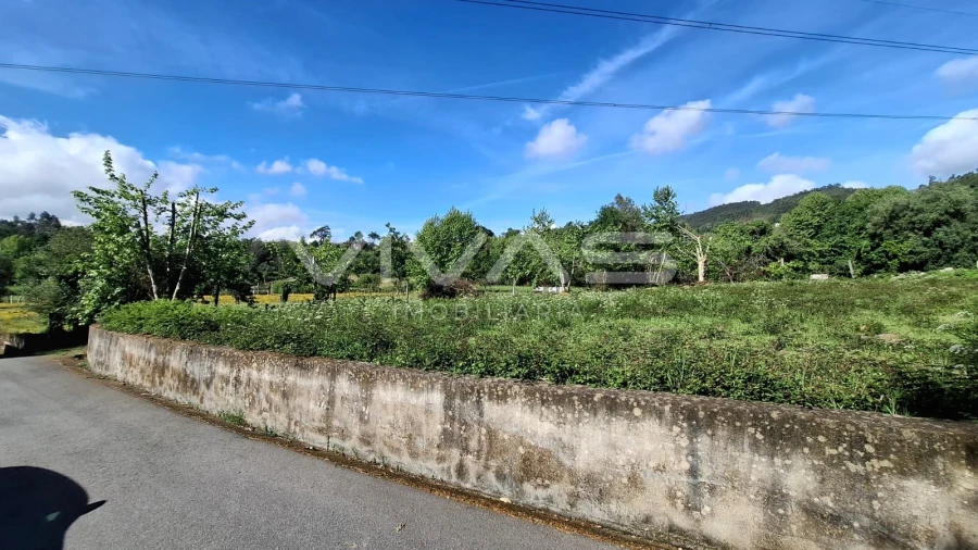 Terreno Agricola ou Rústico para Venda em Dornelas Foto 7