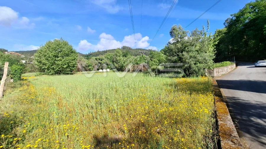 Terreno Agricola ou Rústico para Venda em Dornelas Foto 6
