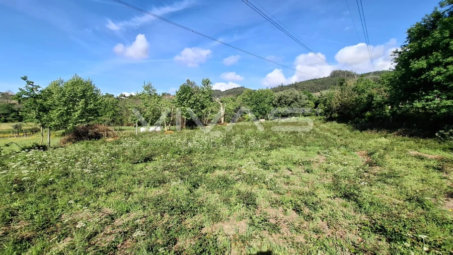 Terreno Agricola ou Rústico para Venda em Dornelas Foto 9