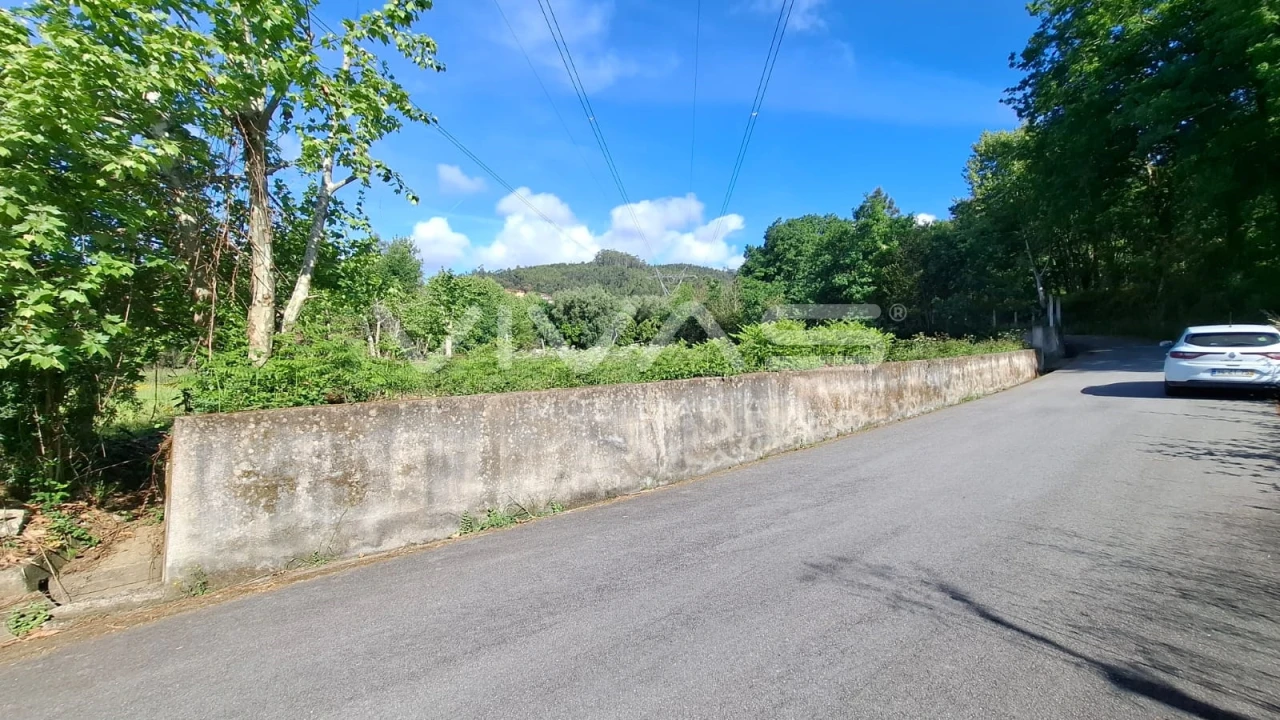 Terreno Agricola ou Rústico para Venda em Dornelas Foto 8
