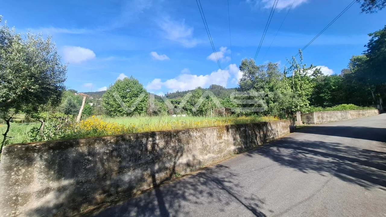 Terreno Agricola ou Rústico para Venda em Dornelas Foto 2
