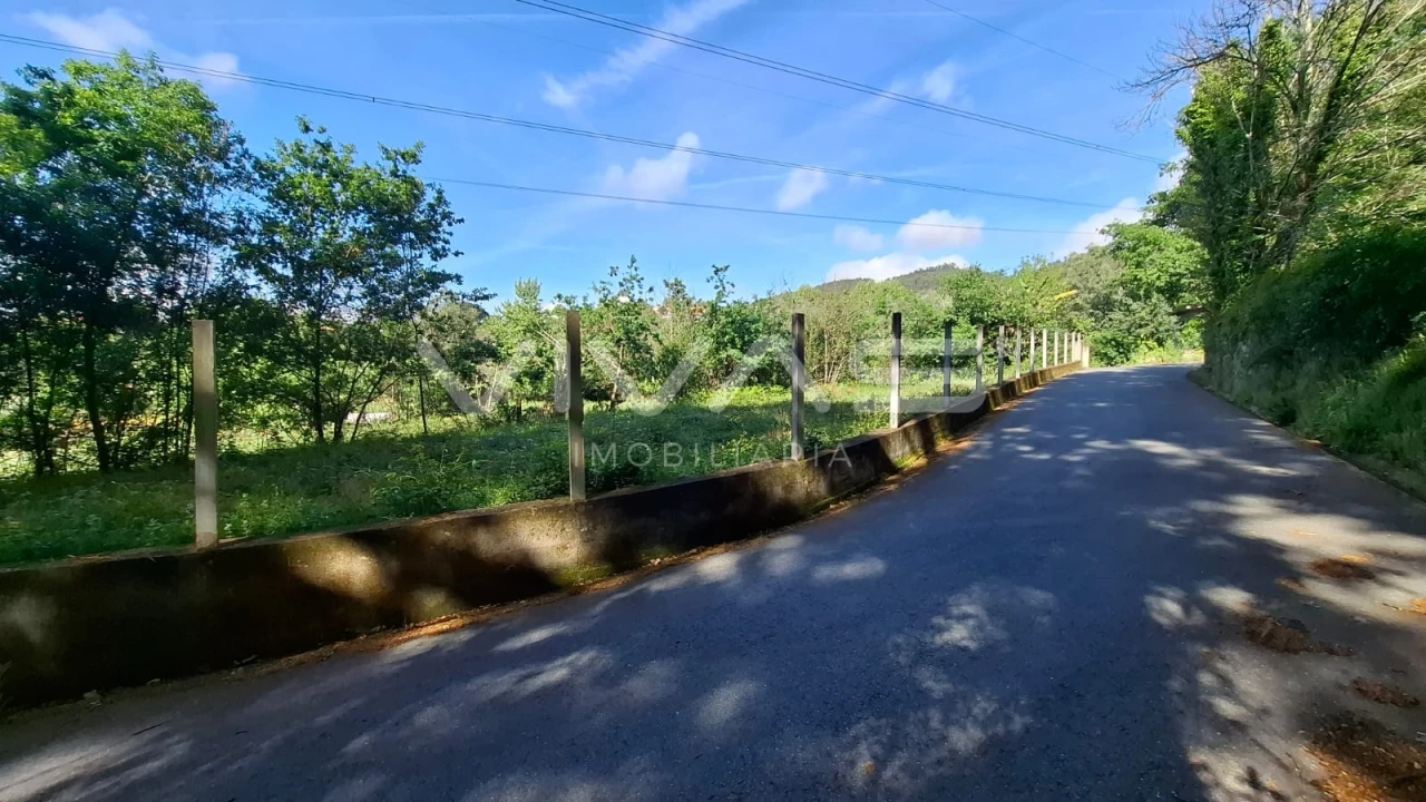 Terreno Agricola ou Rústico para Venda em Dornelas Foto 14