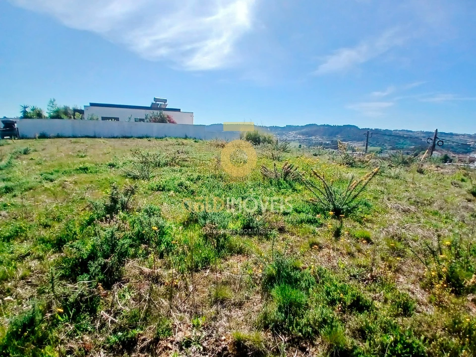 Terreno para Venda em Cristelos, Boim e Ordem Foto 5