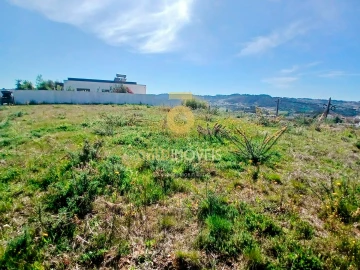 Terreno para Venda em Cristelos, Boim e Ordem