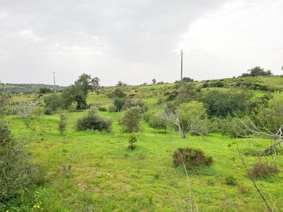 Terreno para Venda em Guia Foto 20
