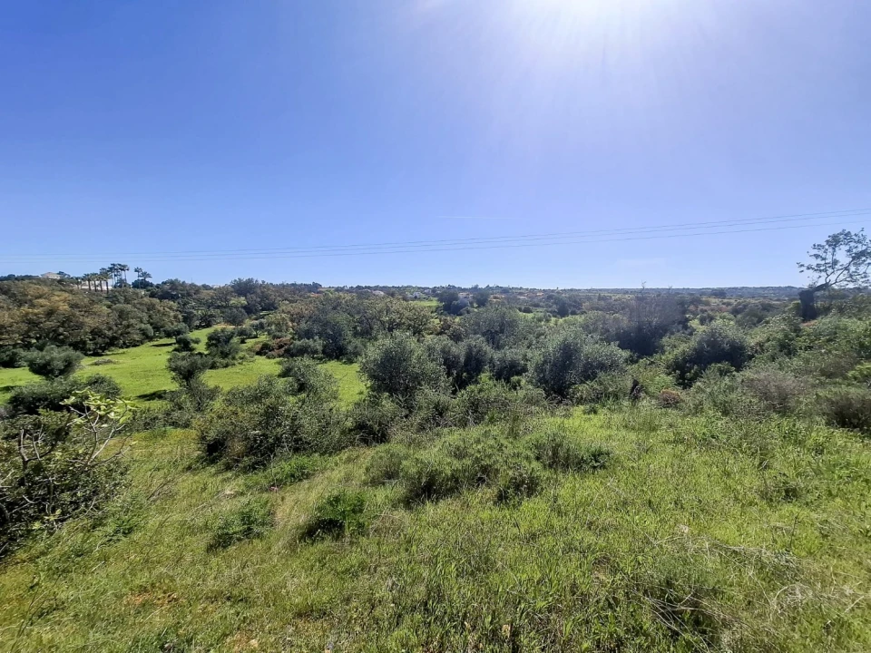Terreno para Venda em Guia Foto 1