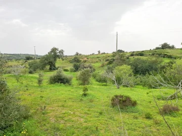 Terreno para Venda em Guia