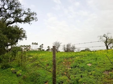 Terreno para Venda em Guia