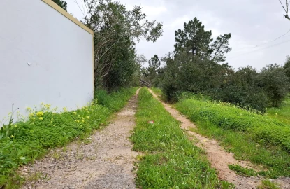 Terreno para Venda em Guia