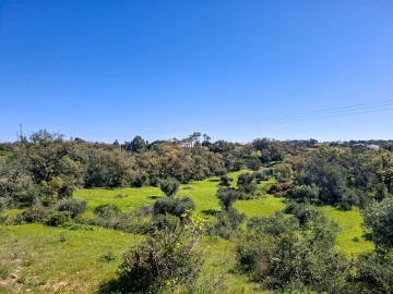 Terreno para Venda em Guia