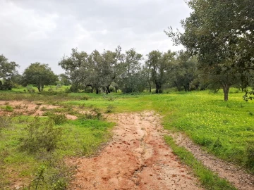 Terreno para Venda em Guia