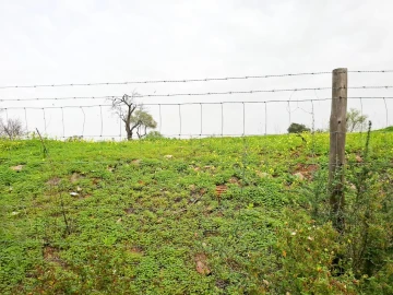 Terreno para Venda em Guia