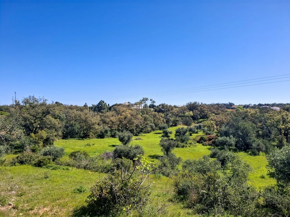 Terreno para Venda em Guia Foto 4