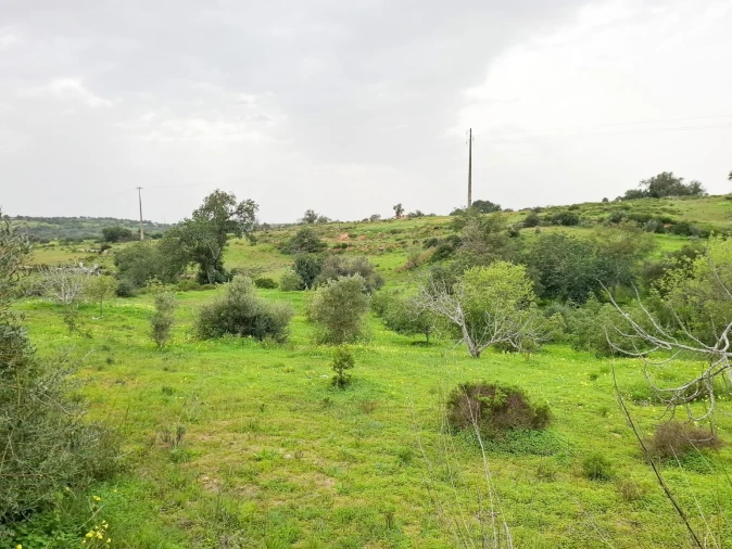 Terreno para Venda em Guia Foto 20