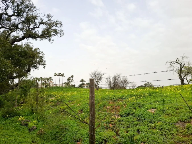 Terreno para Venda em Guia Foto 15