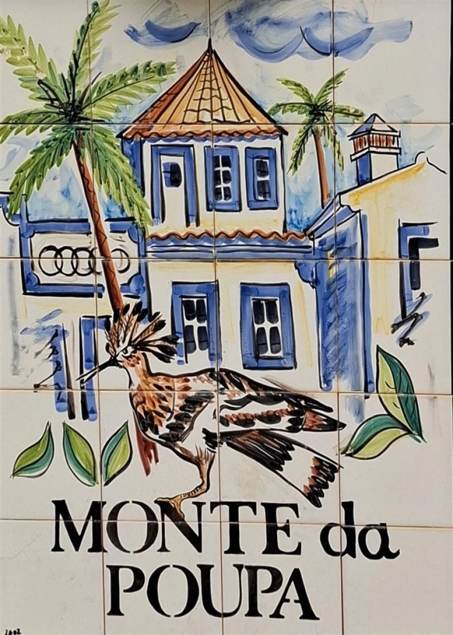 Terreno para Venda em Guia Foto 7