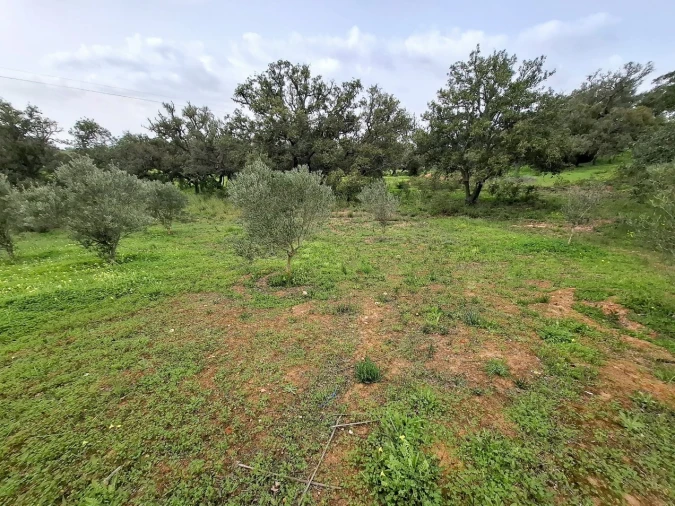 Terreno para Venda em Guia Foto 2