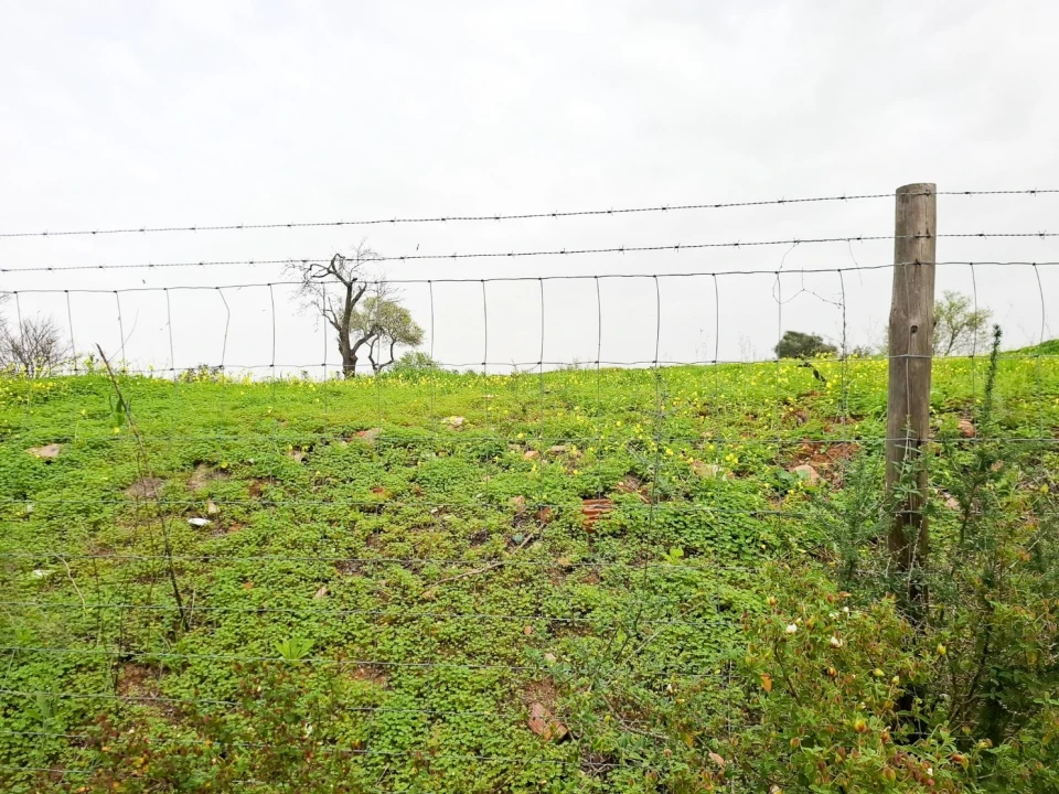 Terreno para Venda em Guia Foto 18