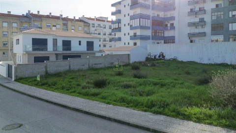 Terreno para Venda em Castelo Branco
