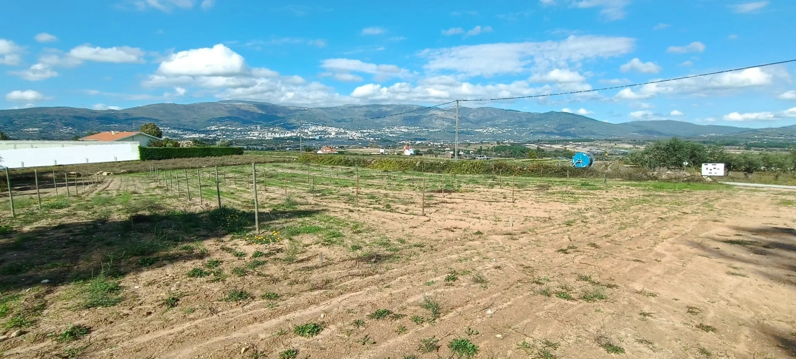 Terreno para Venda em Ferro Foto 7
