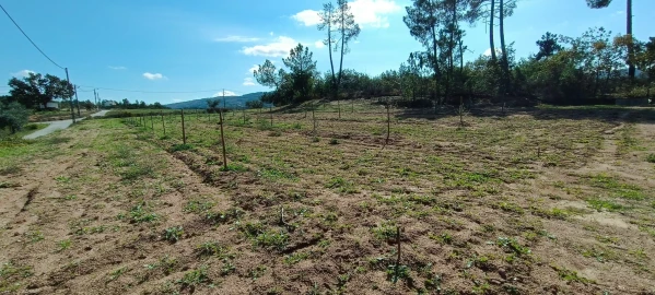 Terreno para Venda em Ferro