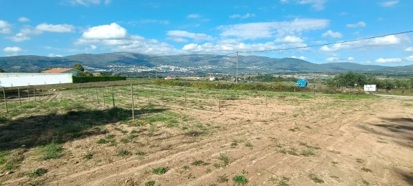 Terreno para Venda em Ferro