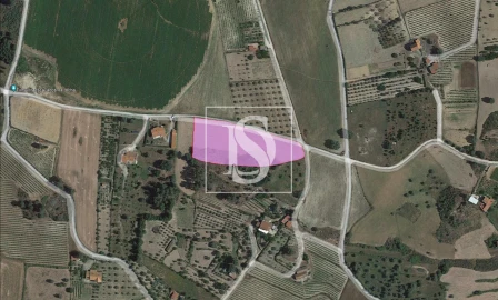 Terreno para Venda em Ferro