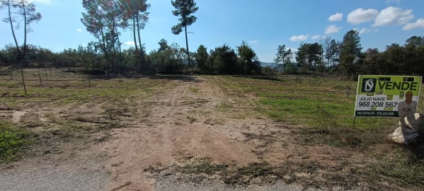 Terreno para Venda em Ferro