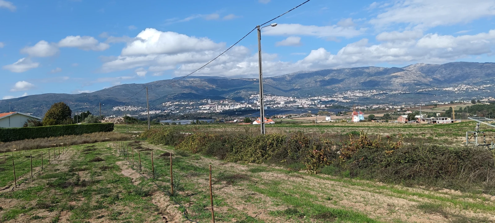 Terreno para Venda em Ferro Foto 1