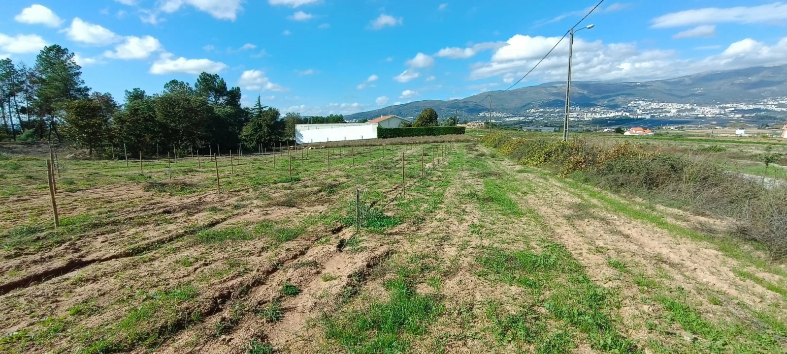 Terreno para Venda em Ferro Foto 5