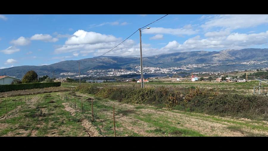 Terreno para Venda em Ferro