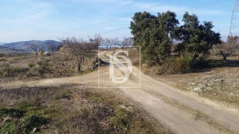 Terreno para Venda em São João da Pesqueira e Várzea de Trevões