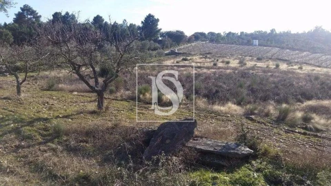Terreno para Venda em São João da Pesqueira e Várzea de Trevões