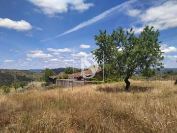 Terreno para Venda em São João da Pesqueira e Várzea de Trevões