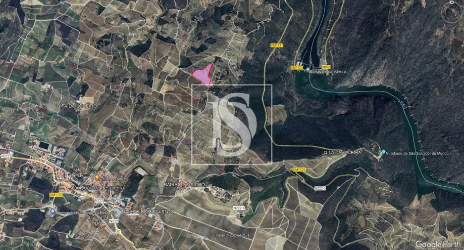 Terreno para Venda em São João da Pesqueira e Várzea de Trevões Foto 7