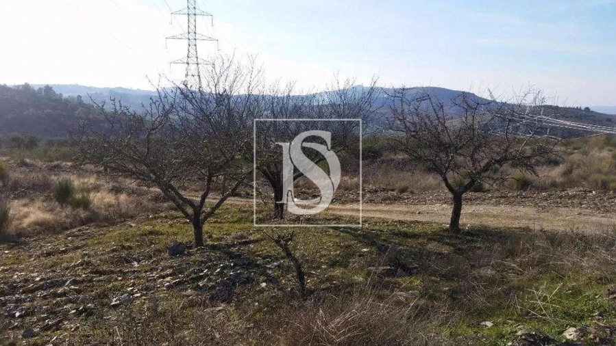 Terreno para Venda em São João da Pesqueira e Várzea de Trevões Foto 23