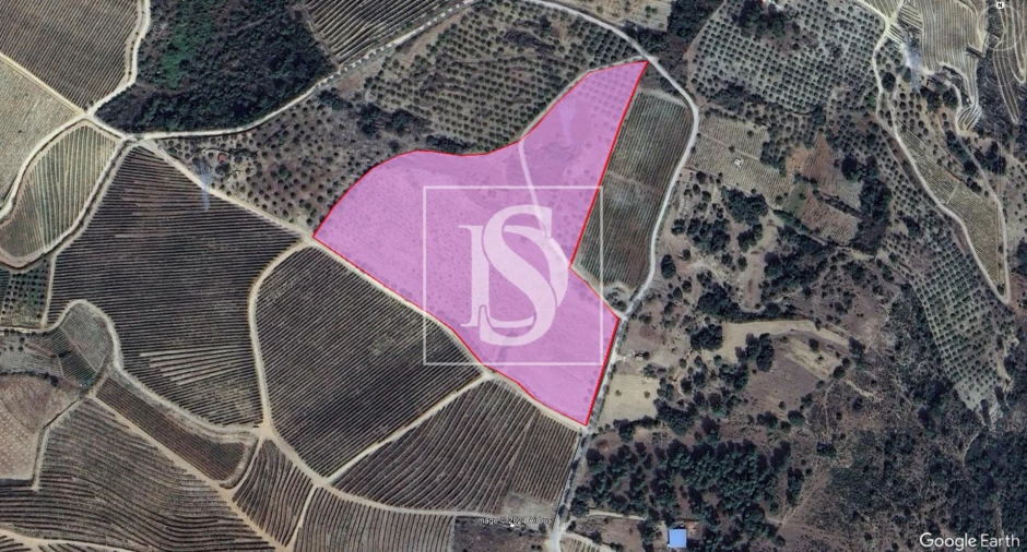 Terreno para Venda em São João da Pesqueira e Várzea de Trevões Foto 9