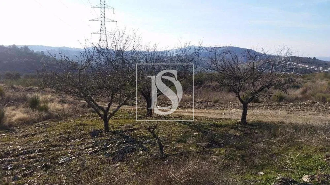 Terreno para Venda em São João da Pesqueira e Várzea de Trevões Foto 23