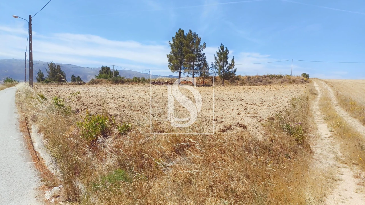 Terreno para Venda em Ferro Foto 5