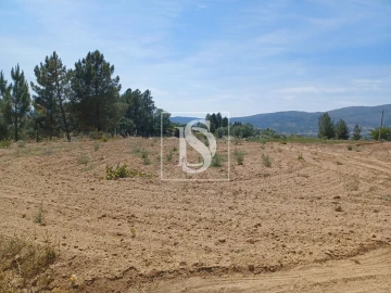 Terreno para Venda em Ferro