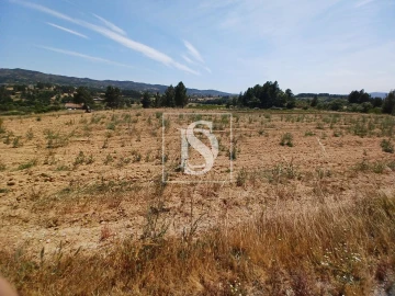 Terreno para Venda em Ferro