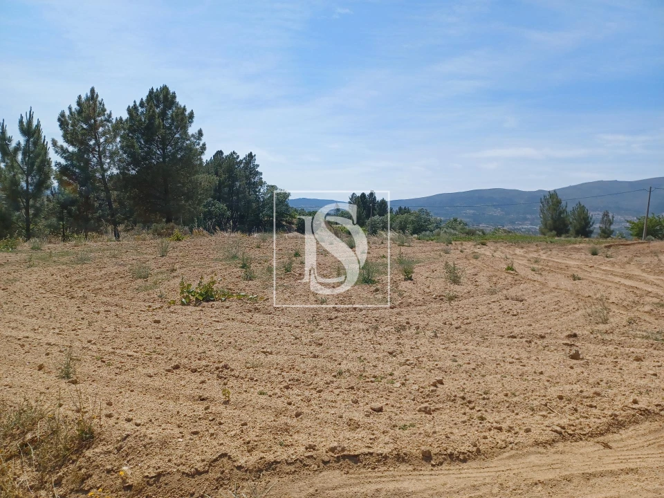 Terreno para Venda em Ferro Foto 3