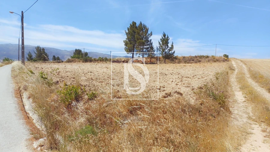 Terreno para Venda em Ferro Foto 5