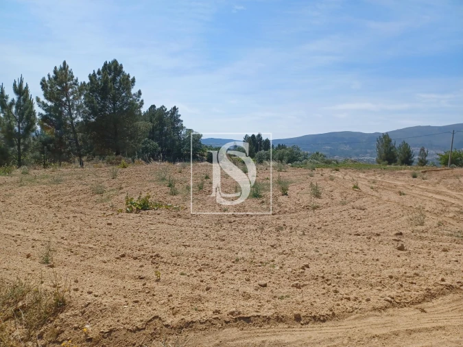Terreno para Venda em Ferro Foto 3