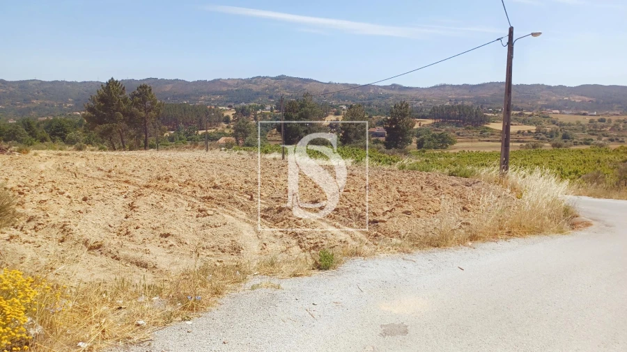 Terreno para Venda em Ferro Foto 7