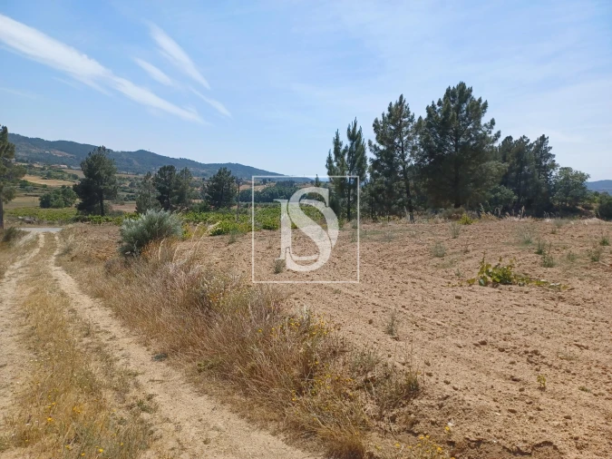 Terreno para Venda em Ferro Foto 4