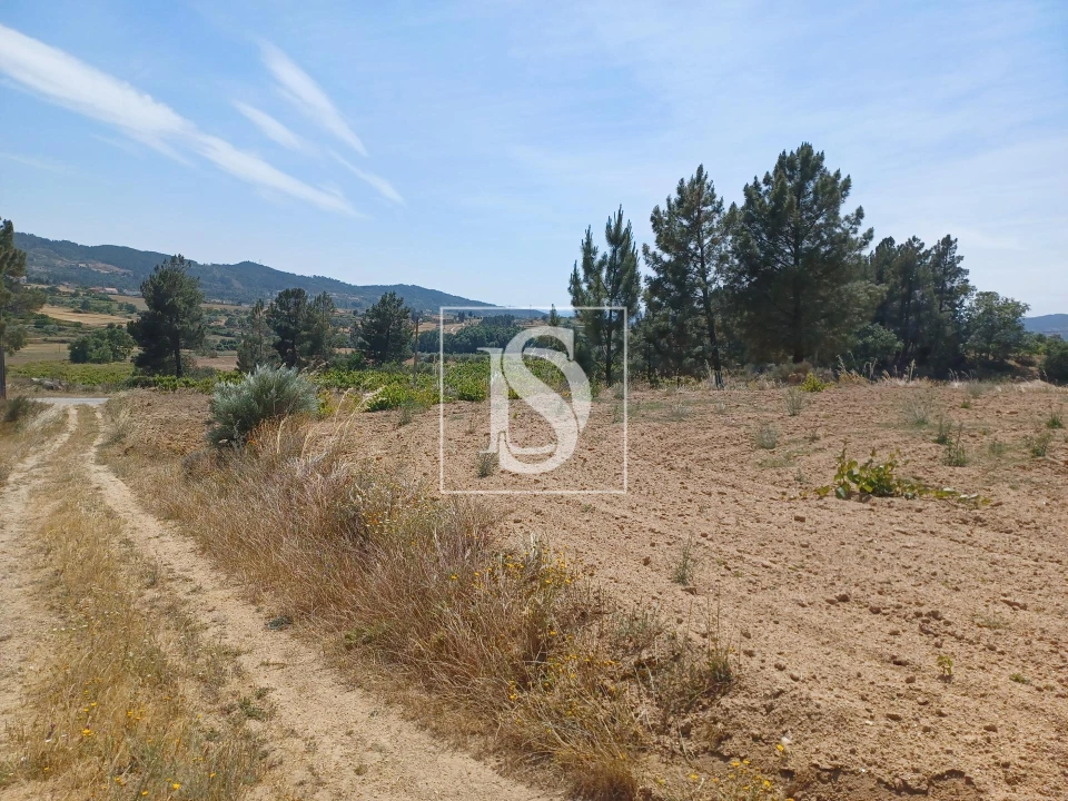 Terreno para Venda em Ferro Foto 4