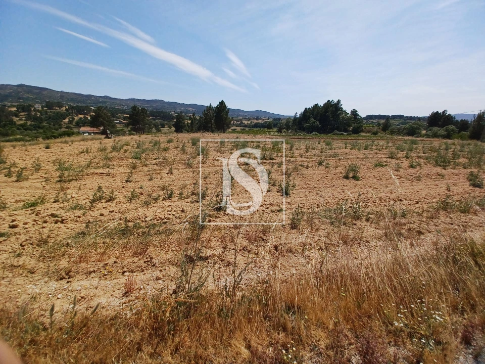 Terreno para Venda em Ferro Foto 6